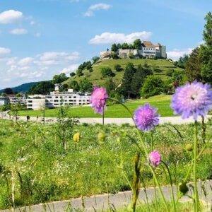 Das Bild zeigt das Schloss Lenzburg von einer Sommerwiese her.
