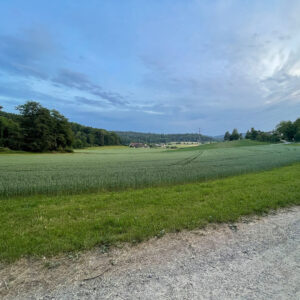 Das Bild zeigt die schöne, sattgrüne Landschaft rund um Lenzburg.
